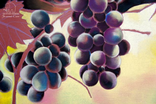 Рисуем виноград пастелью!, фото № 62