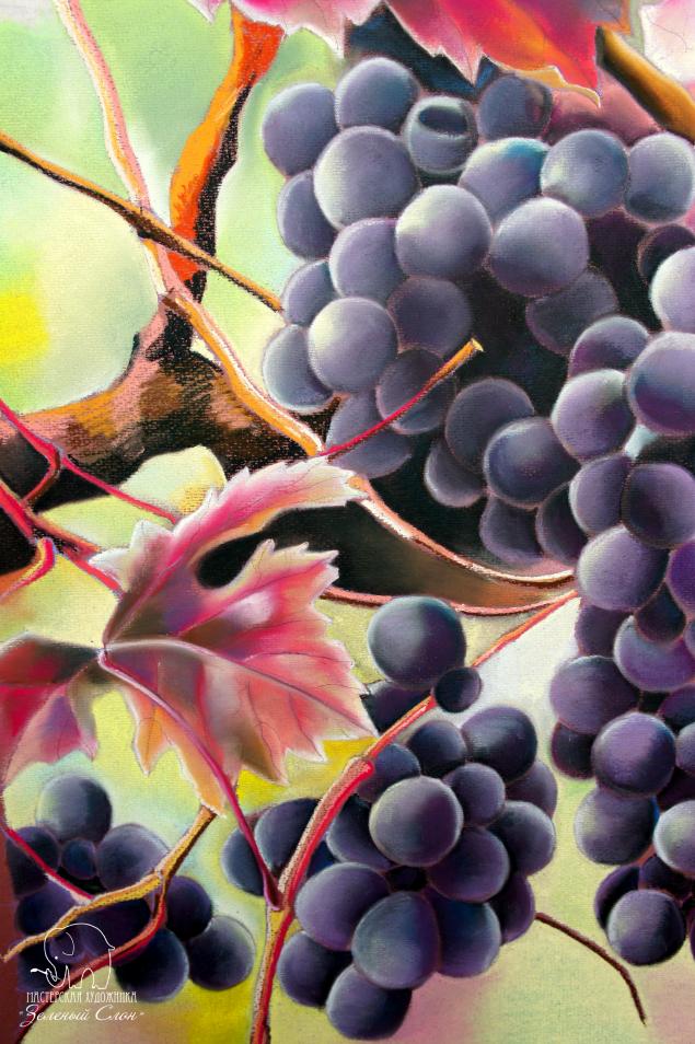 Рисуем виноград пастелью!, фото № 84