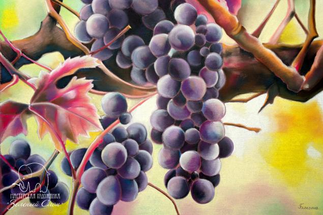 Рисуем виноград пастелью!, фото № 90