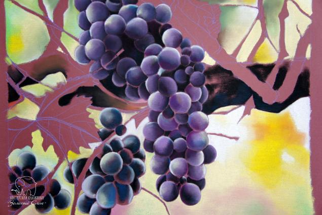 Рисуем виноград пастелью!, фото № 66