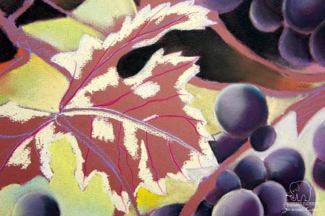 Рисуем виноград пастелью!, фото № 71