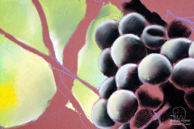 Рисуем виноград пастелью!, фото № 53