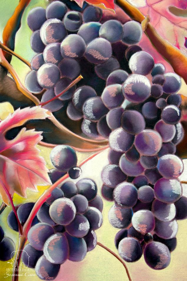 Рисуем виноград пастелью!, фото № 88
