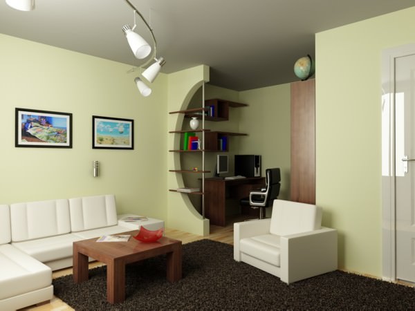 Дизайн однокомнатной квартиры с рабочим местом - разделить на две зоны