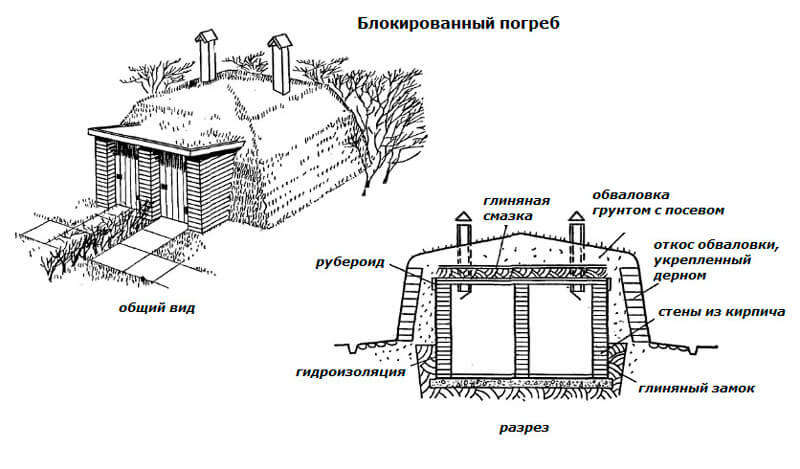 погреб на даче своими руками