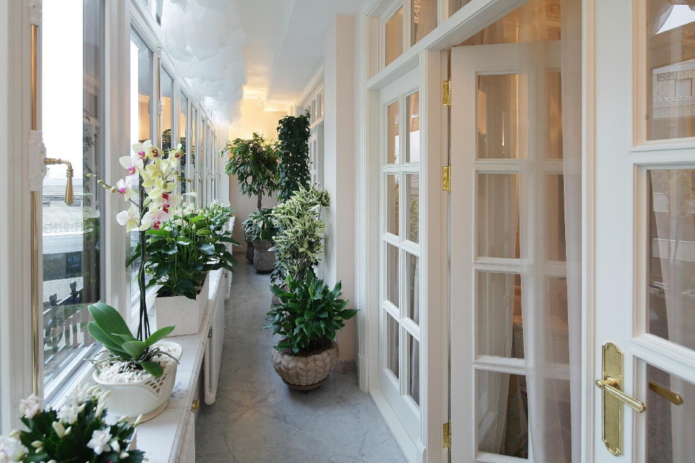 Узкий балкон с цветущими орхидеями