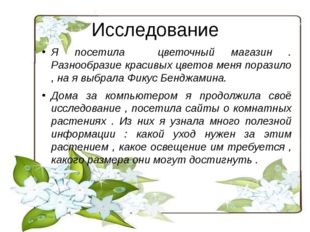 Исследование Я посетила цветочный магазин . Разнообразие красивых цветов меня