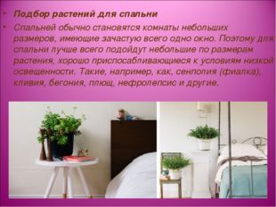 Подбор растений для спальни Спальней обычно становятся комнаты небольших разм