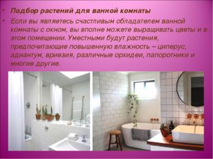 Подбор растений для ванной комнаты Если вы являетесь счастливым обладателем в