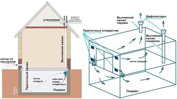 Обустраиваем подвал в загородном доме