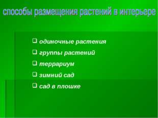  одиночные растения группы растений террариум зимний сад сад в плошке 