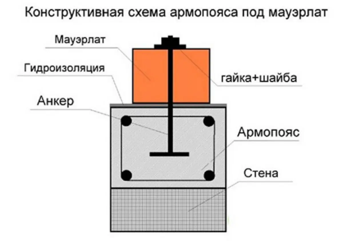 Виталий Кудряшов