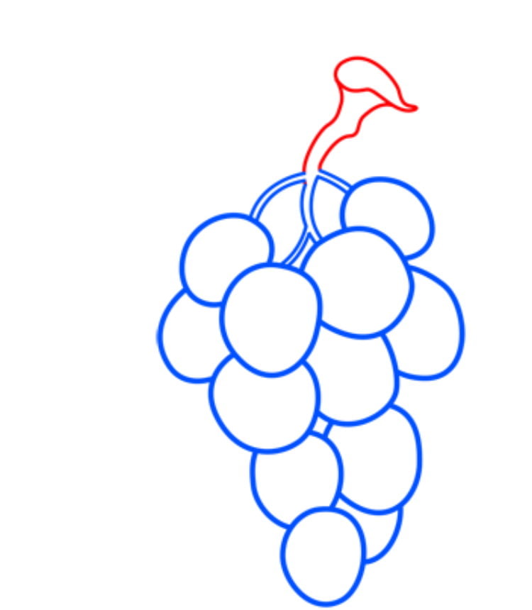 grapes07