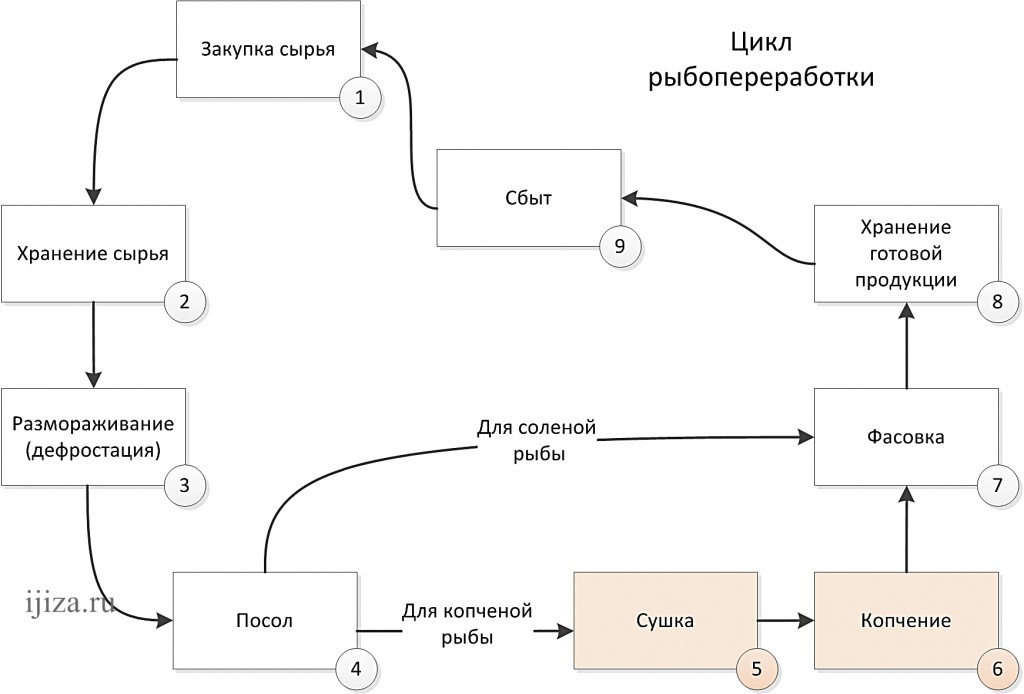 Схематичное изображение этапов закупки сырья, копчения, соления и реализации рыбы