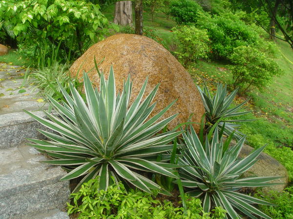 Камню в китайском саду отводится важное место