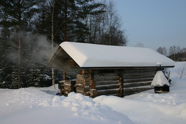 русская баня из бруса