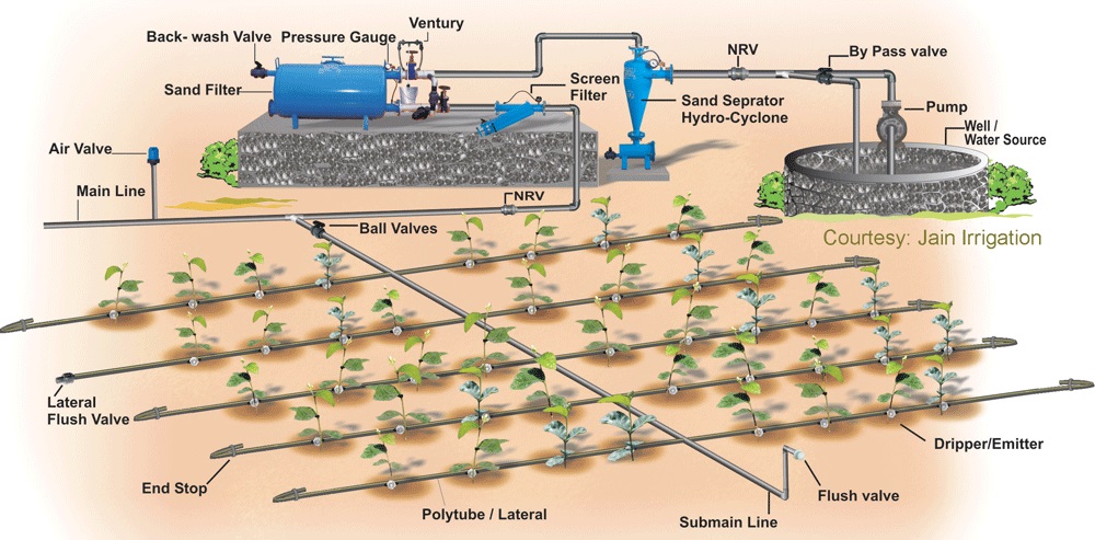 How Exactly Does Drip Irrigation Work?