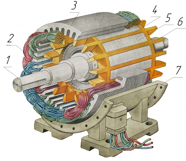 Трехфазный асинхронный двигатель с короткозамкнутым ротором в разрезе