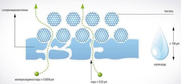 Мембрана пропускает молекулы пара, но препятствует прохождению капель воды
