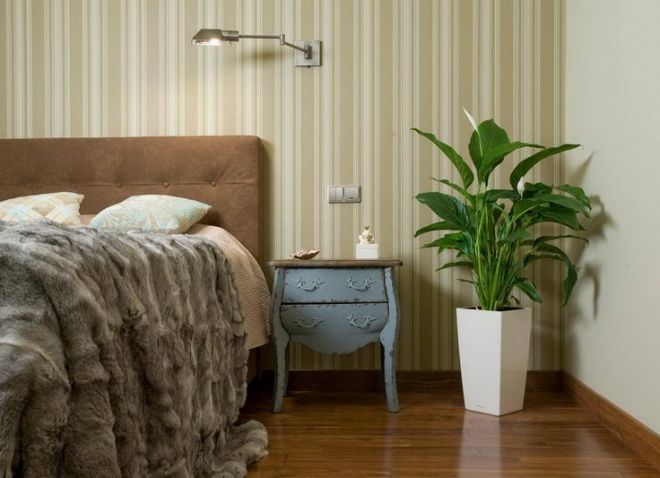  спальной комнаты с растениями