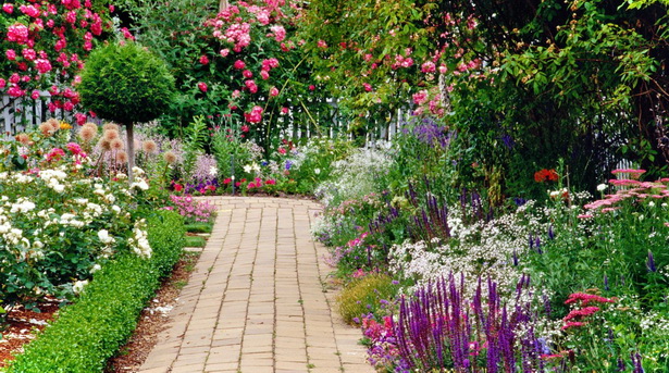 английский сад цветов